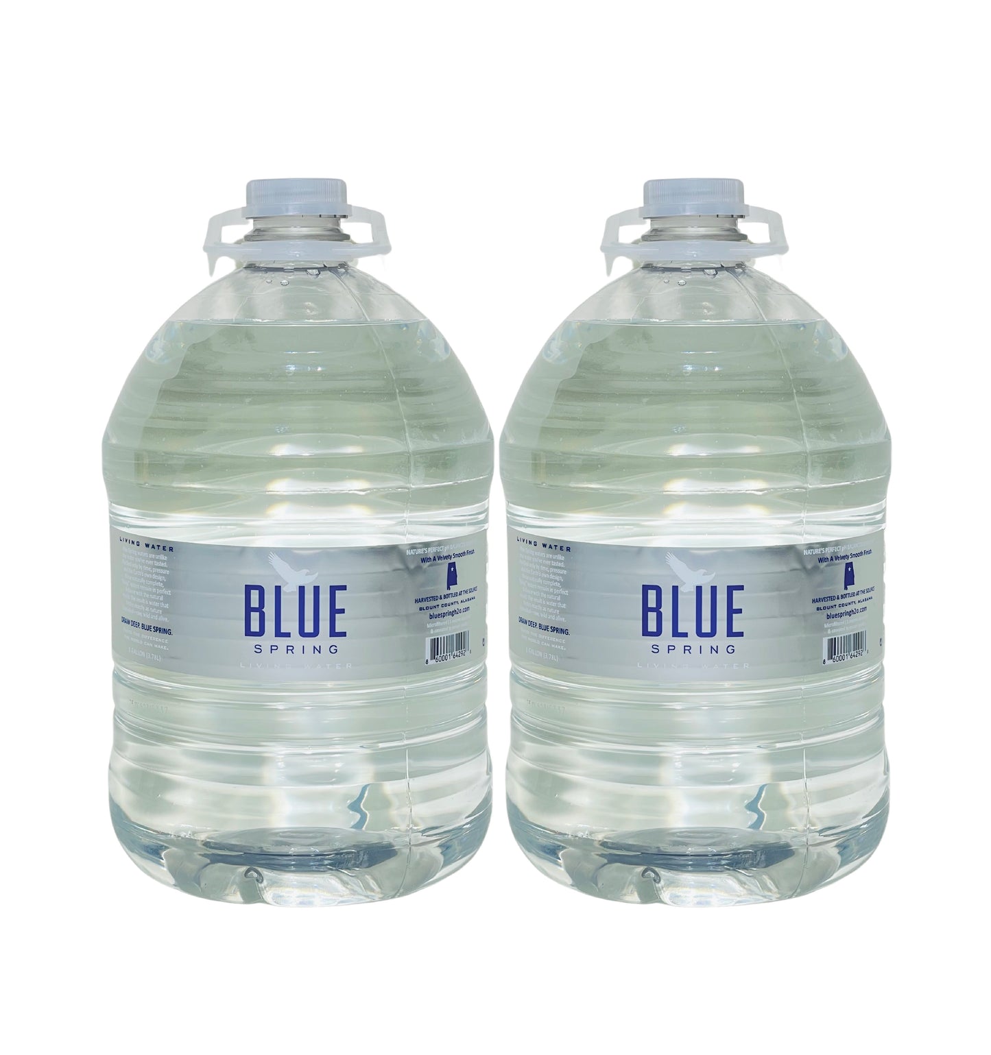 Blue Spring Living Water- 1 Gallon (128 Fl oz) (2 Bottles)